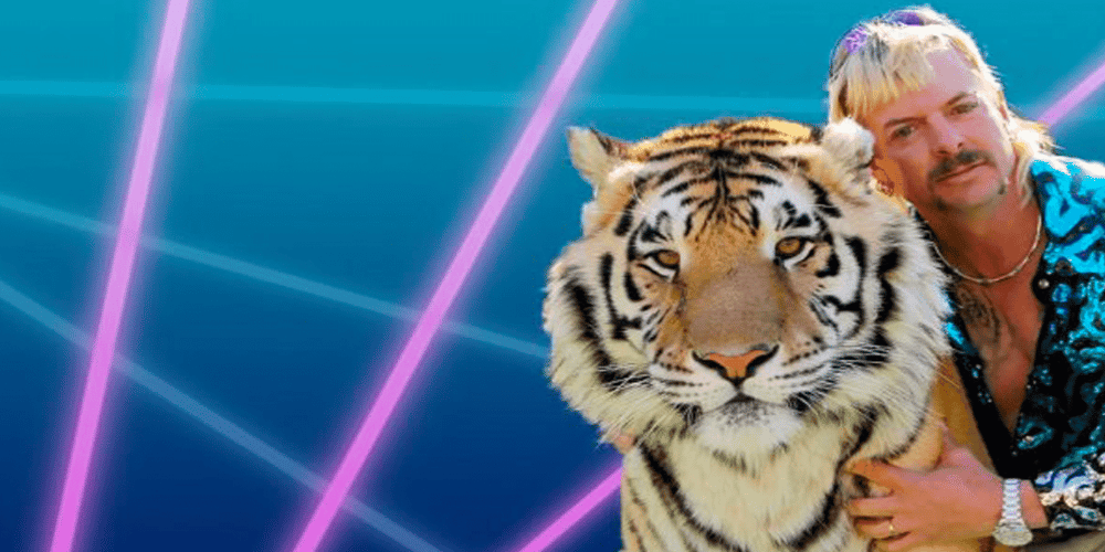 awkward zoom background